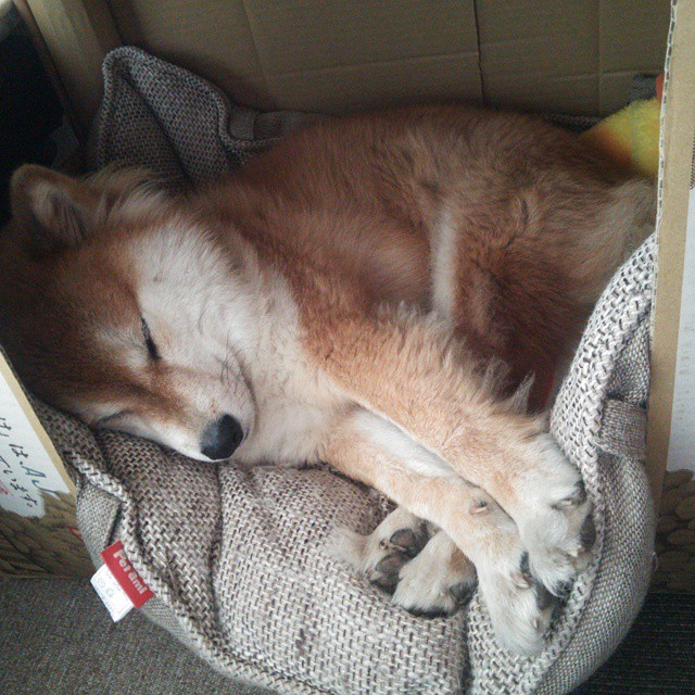 奥亚尔萨瓦尔两射一传闪耀全场，西班牙4-0横扫贝蒂斯展露冠军獠牙